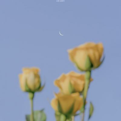 司机大作战手机版